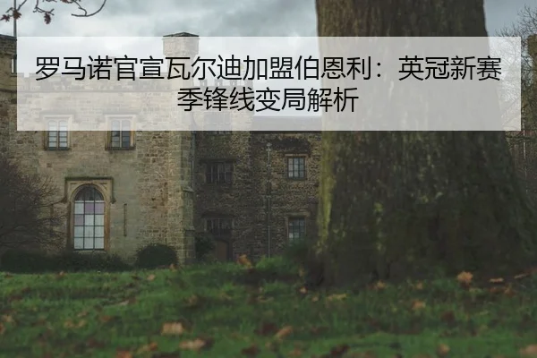罗马诺官宣瓦尔迪加盟伯恩利:英冠新赛季锋线变局解析
